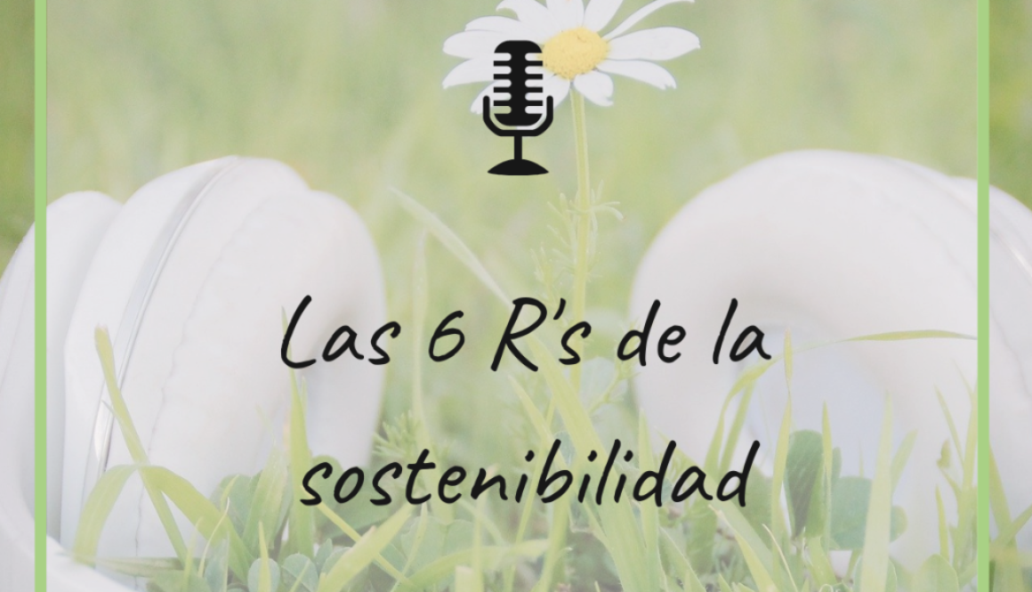 r-de-la-sostenibilidad